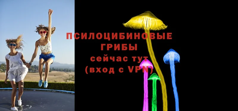 Псилоцибиновые грибы Magic Shrooms  Светлогорск 